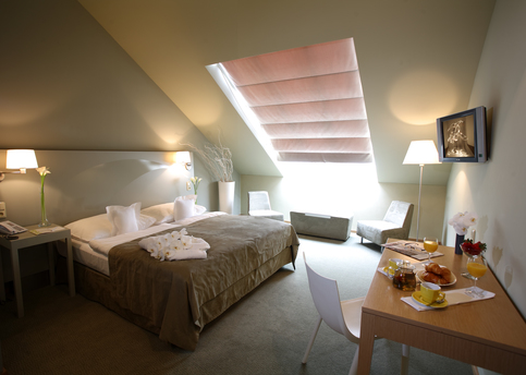 Main junior suite roof window