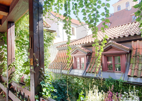 Main waldstein 46  2 