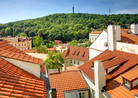 Main red lion window02