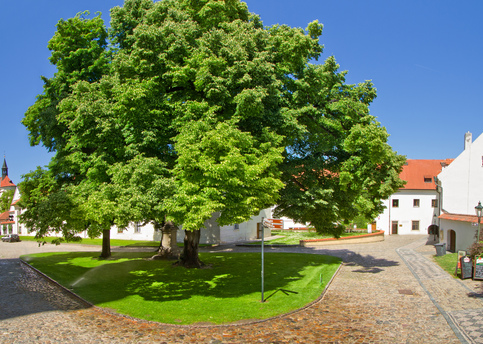 Main monastery garden07